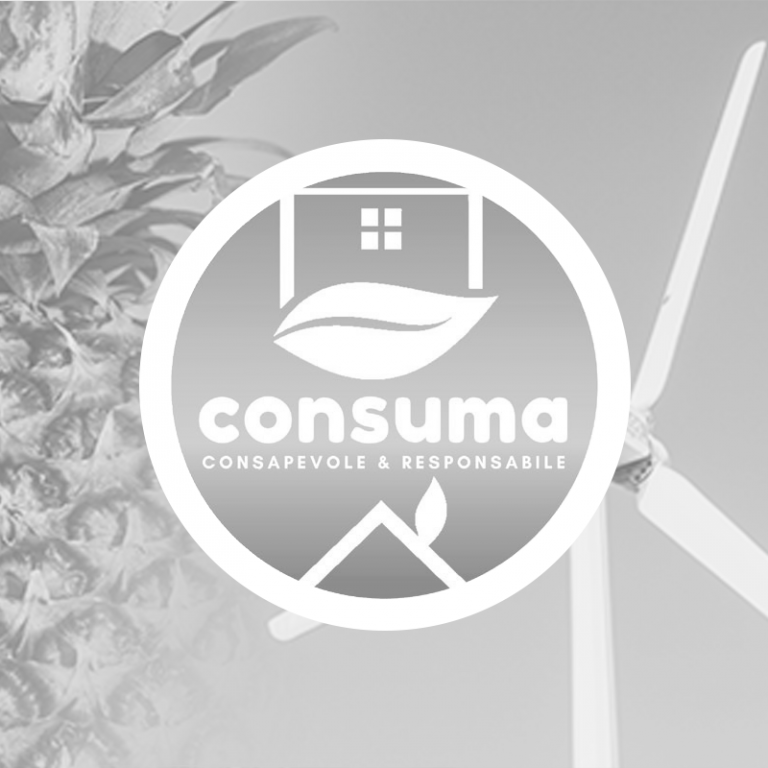 11TEMPLATE COPERTINA PROGETTI 800X800 PX 768x768