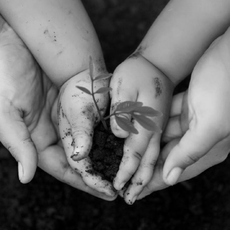 COPERTINA PROGETTI 800X800 PX 768x768