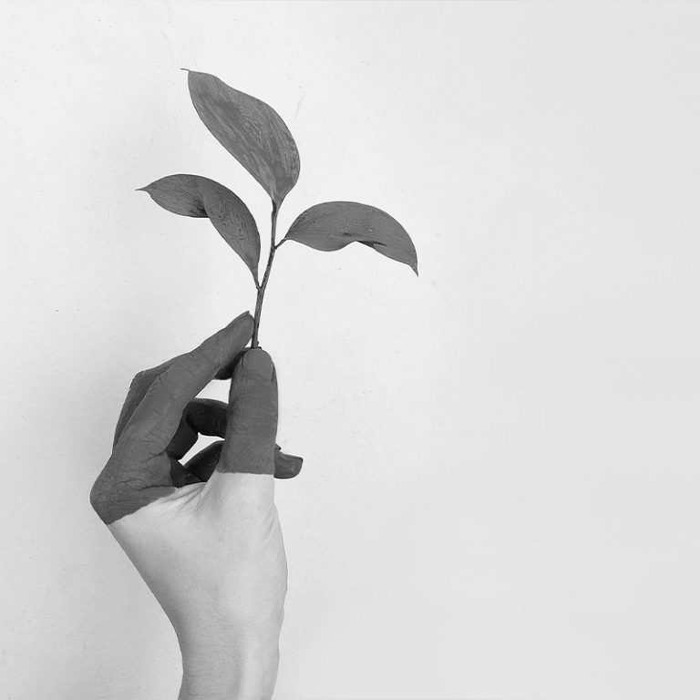 DEF COPERTINA PROGETTI 800X800 PX 768x768