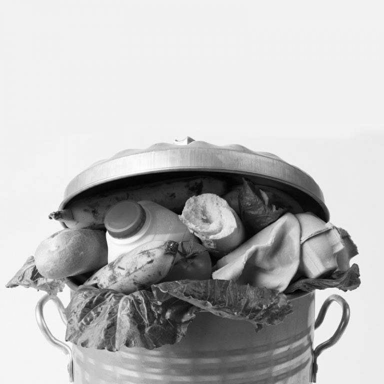 ECO COPERTINA PROGETTI 800X800 PX 768x768