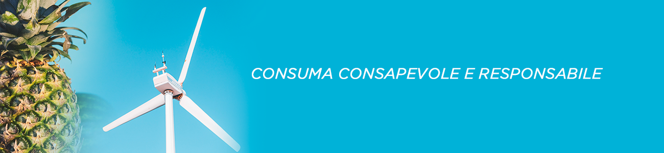 SLIDE INTERNE PROGETTO 8