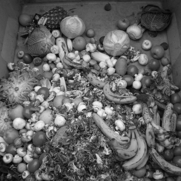 TEMPLATE COPERTINA PROGETTI 800X800 PX 1 768x768