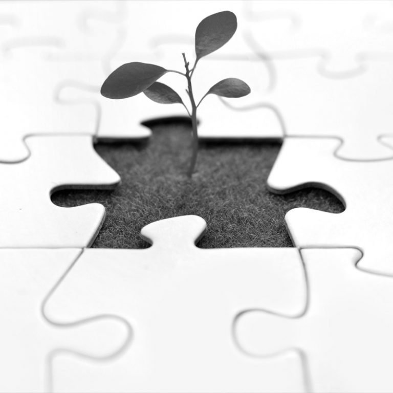 TEMPLATE COPERTINA PROGETTI 800X800 PX 3 768x768