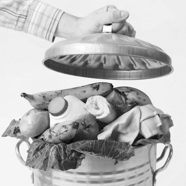 TEMPLATE COPERTINA PROGETTI 800X800 PX 3 768x768