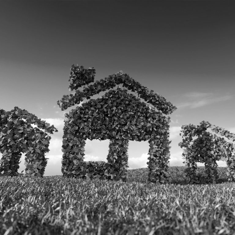 TEMPLATE COPERTINA PROGETTI 800X800 PX 8 768x768