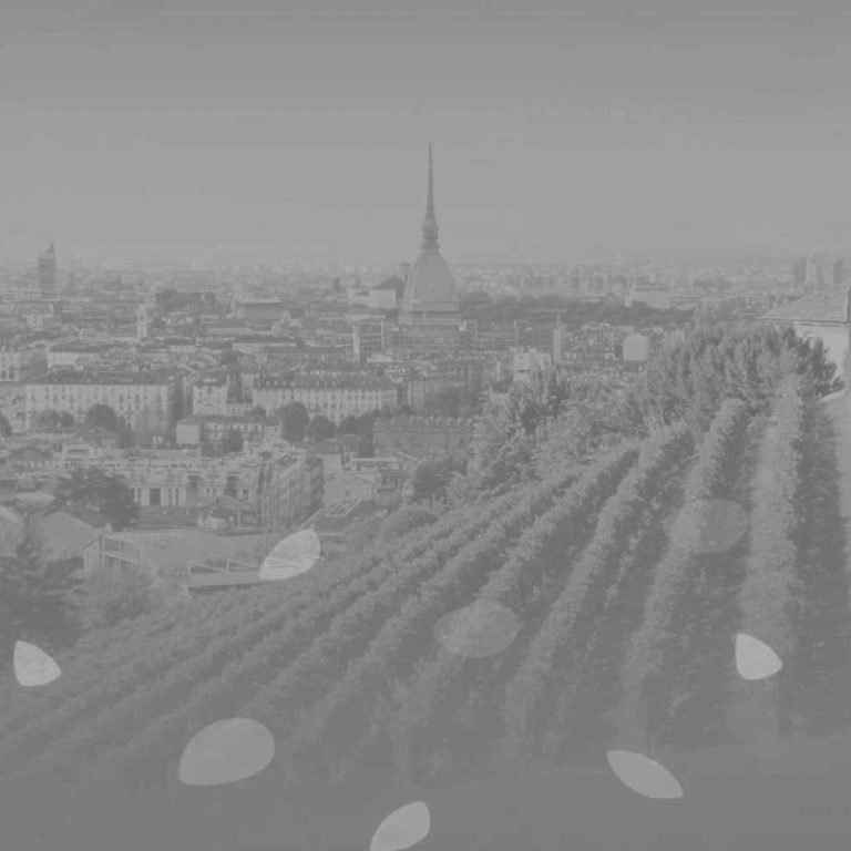 11TEMPLATE COPERTINA PROGETTI 800X800 PX 3 768x768