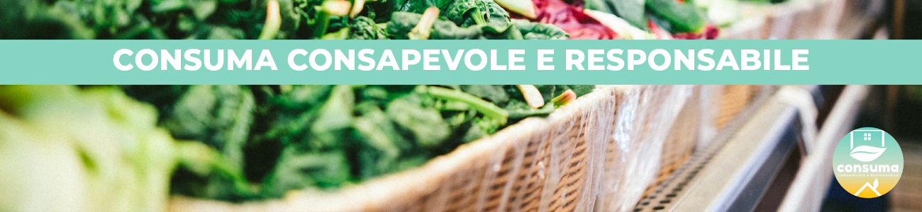 DEF SLIDE INTERNE PROGETTO