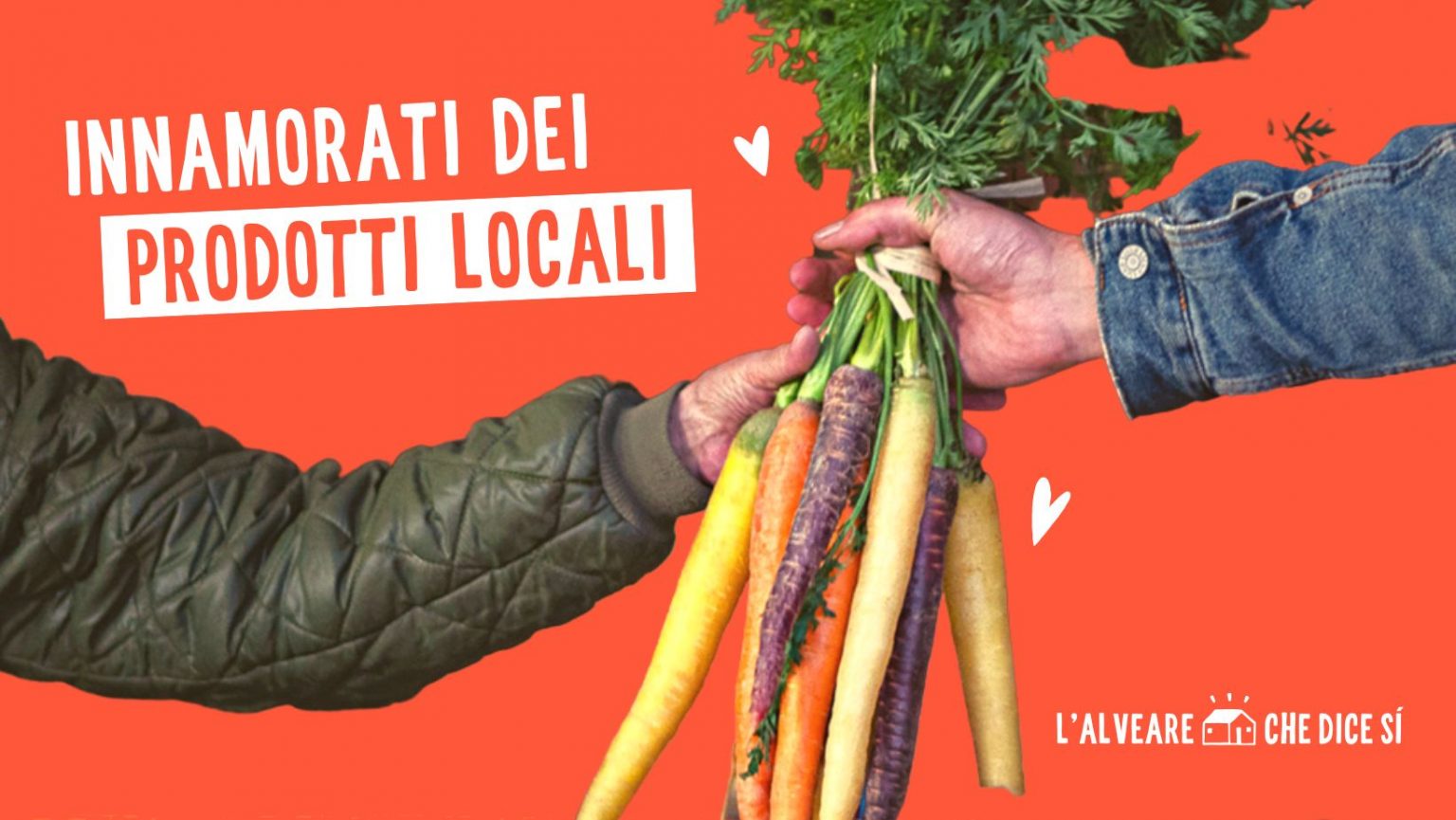 329547397 1538688236629086 3487503136412071154 n 1536x865