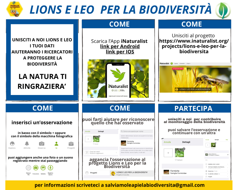108 Tb Lions e Leo per la biodiversita 768x614
