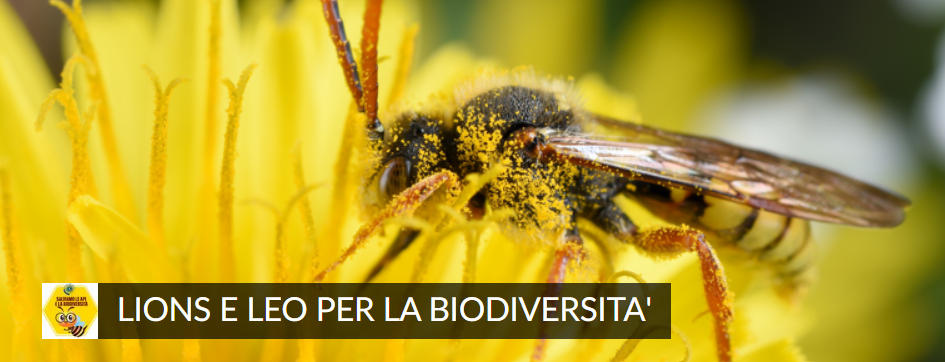 Copertina Progetto Lions e Leo per la Biodiversita