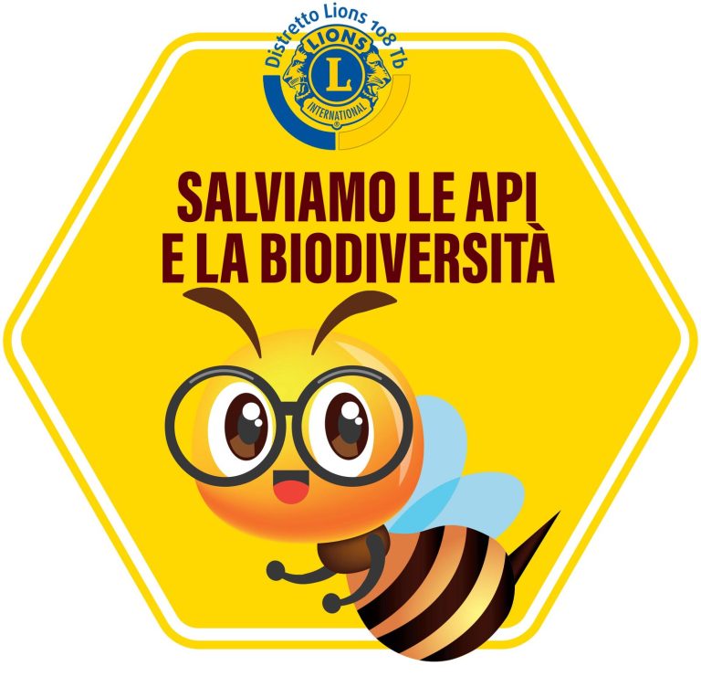 LOGO API DISTRETTO 768x752