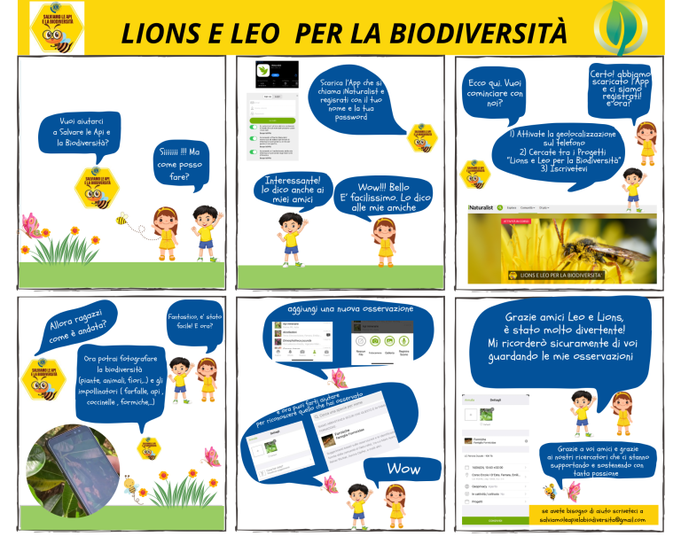 Vuoi collaborare con Leo Lions e ricercatori al monitoraggio della biodiversita 768x614