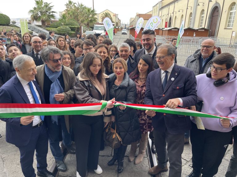 IMG 7832 2048x1536 1 768x576