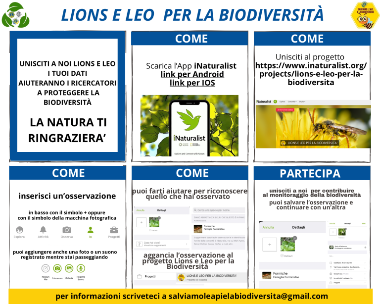 108 Tb Lions e Leo per la biodiversita 768x614